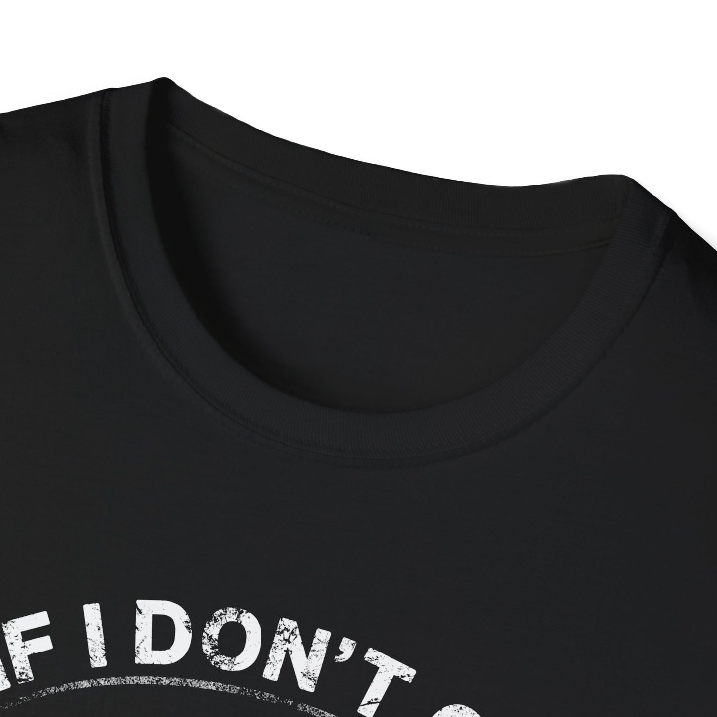 Fishing Humor Unisex Softstyle T-Shirt - "If I Don't Go Fishing Today, I Am Going to Go Crazy"