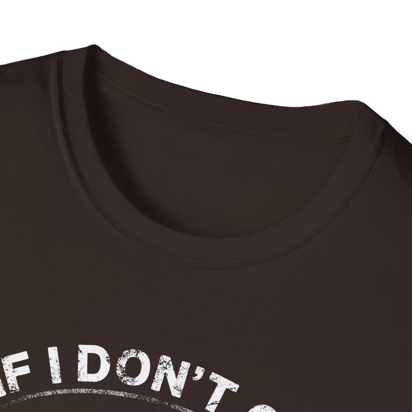 Fishing Humor Unisex Softstyle T-Shirt - "If I Don't Go Fishing Today, I Am Going to Go Crazy"