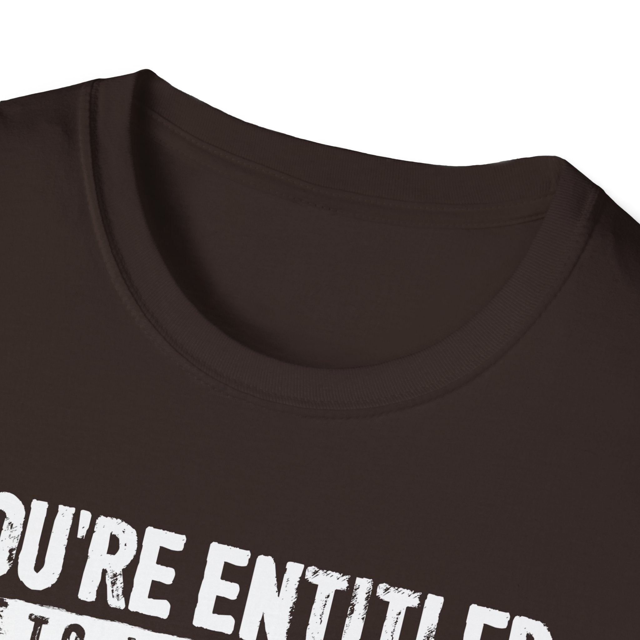 You're Entitled Point of View Unisex Softstyle T-Shirt
