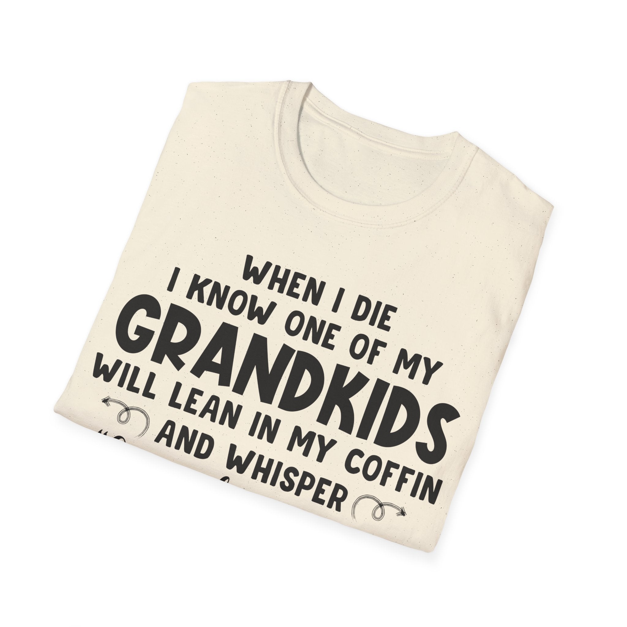 Funny Grandkids Quote Unisex Softstyle T-Shirt