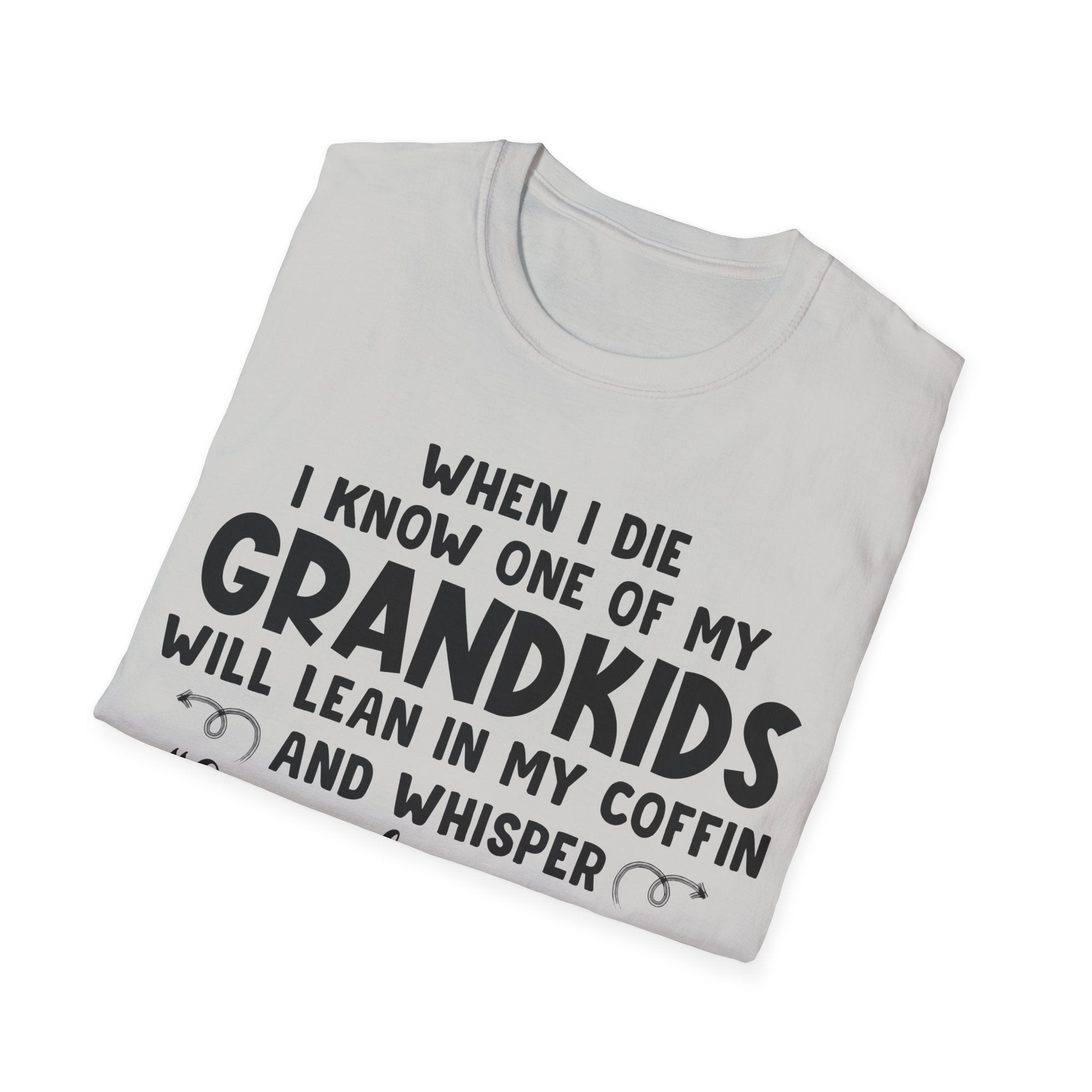 Funny Grandkids Quote Unisex Softstyle T-Shirt